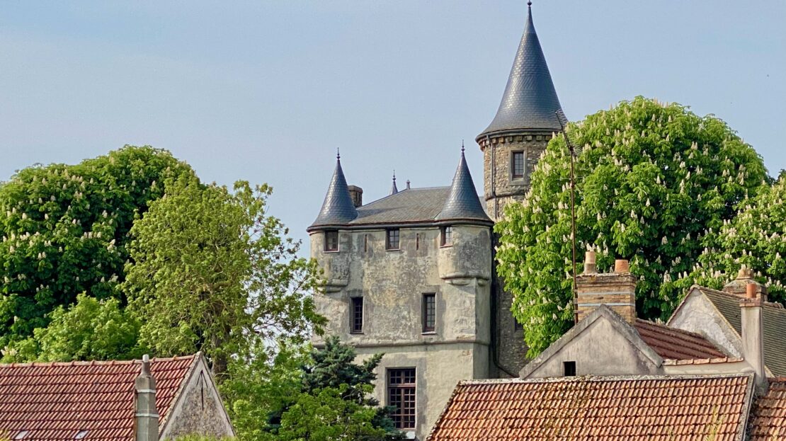 chateau A VENDRE vue toits par INSIDE à ORSAY
