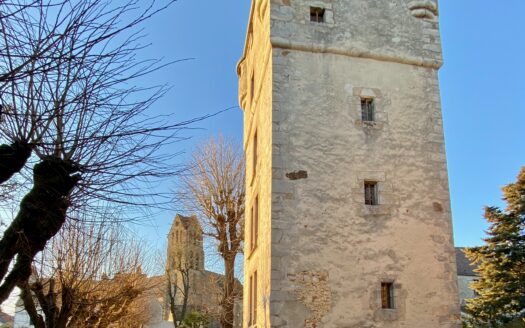Briis-sous-Forges, château, maison bourgeoise et tour médiévale à 35 Km au sud-ouest de Paris